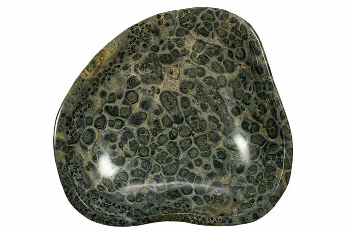 Polished Kambaba Jasper Bowl - Madagascar #337677